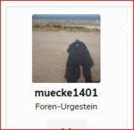 mücke.JPG