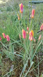 IMG_20190422_165823.jpg
