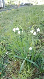 IMG_20190422_165818.jpg