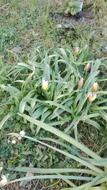 IMG_20190422_165810.webp