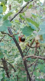 IMG_20190419_180447.webp