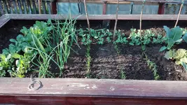 IMG_20190419_173548.webp