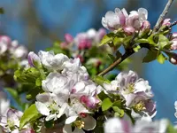 image006.webp