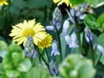 image010.jpg