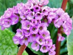 image011.jpg