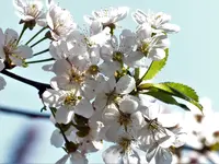 image012.webp