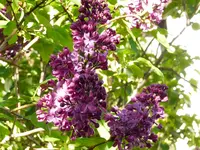 image014.jpg