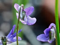 image018.jpg