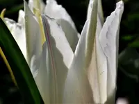 image021.webp