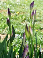image023.jpg