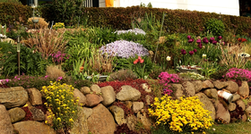 Hangbeet_Mitte_700.webp
