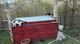 IMG_20190409_174041.webp