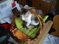 IMGP7643.webp