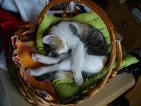 IMGP7642.webp