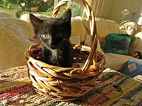 IMG_2651 v (2).webp