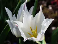 image003.webp