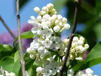 image005.webp