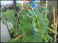 c026.webp