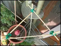c030.webp