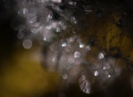 0M3A7859.jpg