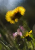 0M3A7843.webp