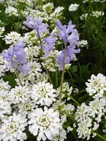 P1020161.webp