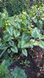 20190425_133752.webp
