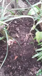 20190424_191804.webp