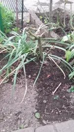 20190424_191742.webp