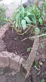 20190424_191723.webp