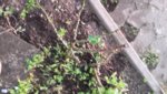 20190424_191841.jpg