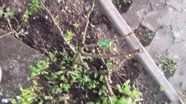 20190424_191841.webp
