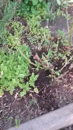 20190424_191834.webp