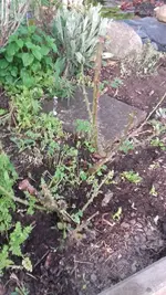 20190424_191832.webp