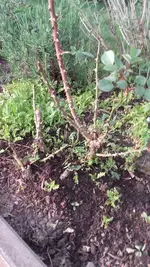 20190424_191824.webp