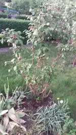 20190424_191856.webp