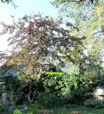 P1380952_LI.webp