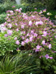 20190426_090823.jpg
