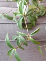 20190426_160205.webp