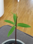 20190426_160241.jpg