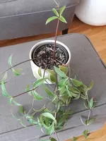 20190426_160319.webp