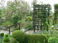IMG_6624.webp