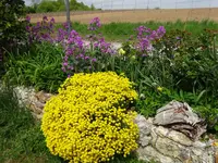 DSC00204.webp