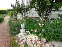 DSC00207.webp