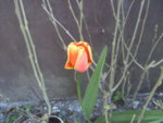 BILD0930.JPG