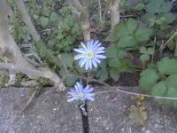BILD0934.webp