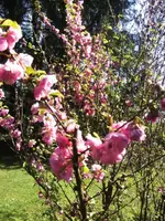 BILD0915.webp