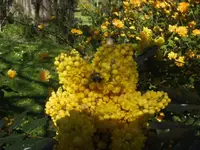 BILD0913.webp