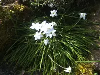 BILD0945.webp