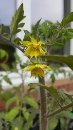 20190426_190657.webp
